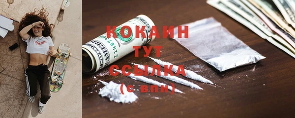 дурь Инта