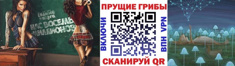 Псилоцибиновые грибы Cubensis  Купить где  Камень-на-Оби 