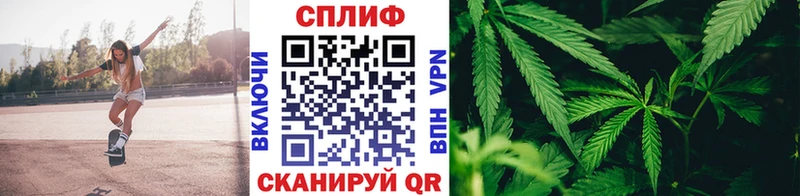 Конопля тримм  Купить закладки  Камень-на-Оби 
